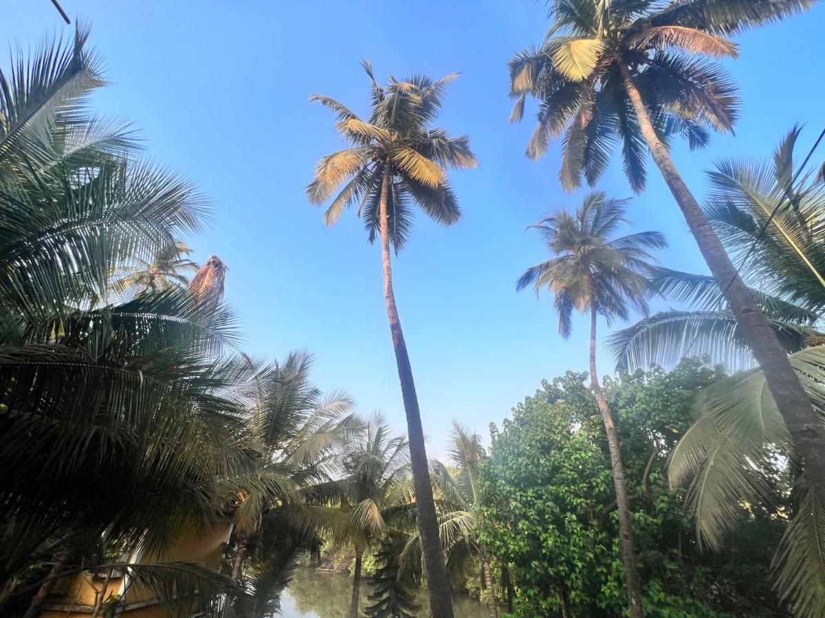 Kyel Villa Guest House อารัมบล ภายนอก รูปภาพ